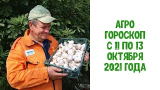 Агрогороскоп с 11 по 13 октября 2021 года ПЛЮС