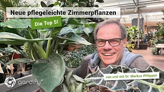 Top 5 – Pflegeleichte Zimmerpflanzen für zuhause | gardify Tipps