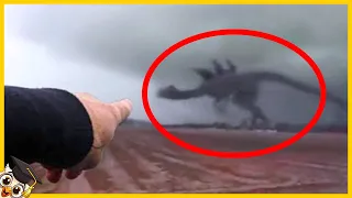 10 Godzilla en la vida real capturados por la cámara