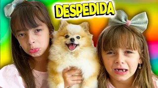 Tivemos que nos despedir da Cookie ! 😍 JÉSSICA GODAR E LAURINHA E HELENA E GABRIEL