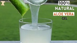 How to make natural aloe vera gel at home | Diy aloe vera gel