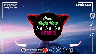 Akon - Right Now (Na Na Na) (抖音FKDJ版)｜最火BGM抖音｜Top Trending TikTok Gây Nghiện Hay Nhất