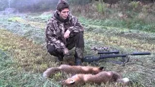 Revejakt Del 2, Fox hunt, predator calling, rävjakt, Lokkejakt på rev, Jonas Breda