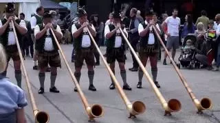 Bavarian horns