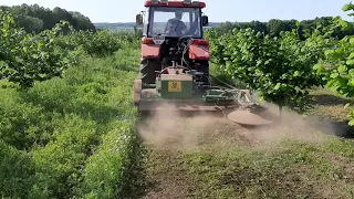 Фундук .Золотий Горішок .Мульчер для саду.