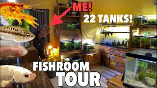 Full Fishroom Tour! Planted Aquariums and Nano Fish