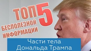 ТОП 5 БЕСПОЛЕЗНОЙ ИНФОРМАЦИИ ЧАСТИ ТЕЛА ДОНАЛЬДА ТРАМПА