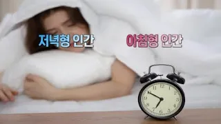 아침형 인간 vs. 저녁형 인간...누가 더 건강할까? / YTN 사이언스