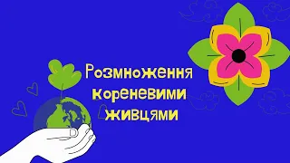 Розмноження кімнатних рослин живцюванням