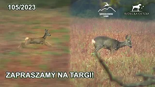 SUDECKA OSTOJA 105/2023 Zapraszamy na targi Carpathia Hunting & Guns pod Rzeszowem!