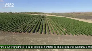 AGRO TV News – Reguli noi de ținere a registrului contractelor de arendă