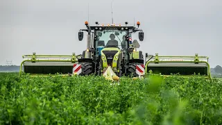 Claas Arion 650 + Claas Disco 3200FC - Disco 9200c | Van Veelen Holsteins