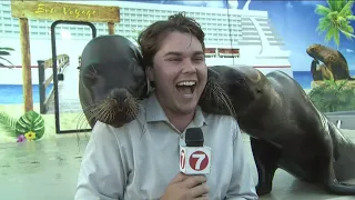 KTVB at the Western Idaho Fair: Reporter gets kisses from some sea lions