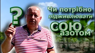 Чи потрібно подживлювати сою азотом?