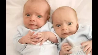 TRY NOT TO LAUGH Challenge - Most Funny Twin Babies Fighting Over Stuff Compilation (NEW 2017)