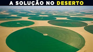 Como a Arábia Saudita está Reflorestando o Deserto