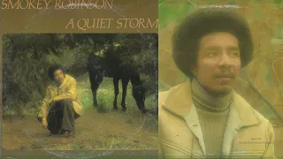 A QUIET STORM