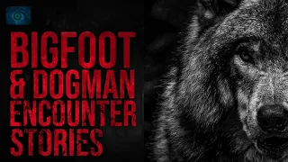 BUFFALO WOLVES AND SASQUATCH - ENCOUNTERS WITH DOGMAN AND BIGFOOT