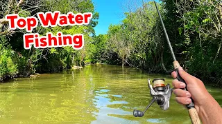 Topwater Blowups while Creek Wading