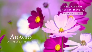 Relax in a field of flowers with peaceful harp music