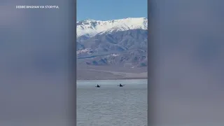 Kayakers Take Advantage of Temporary Death Valley Lake in 'Once in a Lifetime Sight'