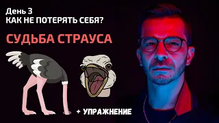 Какая судьба ждёт страуса? | День 3. Спринт «Как не потерять себя?»