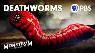 Death Worms: Fact or Fiction? | Monstrum