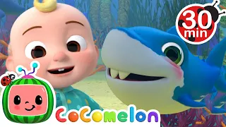 Baby Shark - @CoComelon | Kids Cartoons & Nursery Rhymes | Moonbug Kids