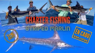 Marlin Fishing, Best Charter in Cabo San Lucas