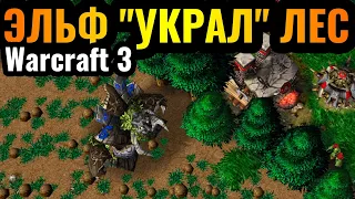 ВЕСЬ ЛЕС УКРАЛИ: Орочьи слёзы и Эльфийский троллинг в Warcraft 3 Reforged