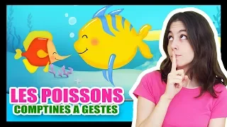 Les petits poissons dans l'eau - Comptines à gestes pour les bébés - Titounis