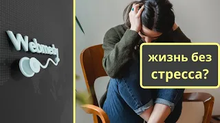 FХотите жить без стресса? Эти советы экспертов могут помочь!