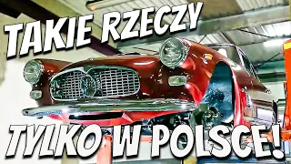 Tak wygląda Polska na światowej motoryzacyjnej scenie! | Auto Historie