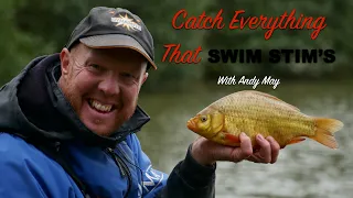 Commercial Silver-Fish With Andy May