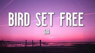 Bird Set Free - Sia (Lyrics) 🎵