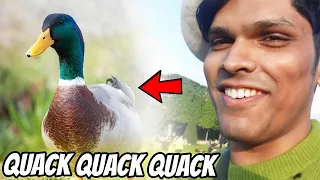 @Mythpat CAN TALK TO DUCKS??? (Paris Vlog 3)