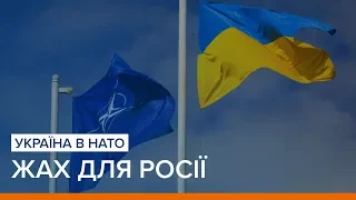 Україна в НАТО – жах для Росії | «Ваша Свобода»