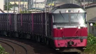 (HD) JR貨物 DF200レッドベア牽引高速貨物列車3(赤スカート編)