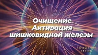 Инициация Очищения. 33 кода активации шишковидной железы.