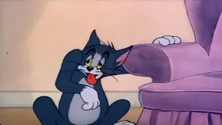 Tom  And Jerry Invisible mouse