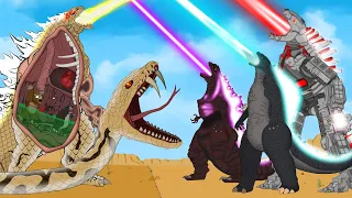 Evolution of PYTHON - GODZILLA: Monsters Ranked From Weakest To Strongest? FUNNY | Godzilla Cartoons