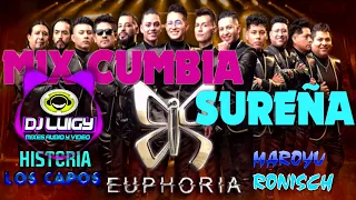 MIX cumbia sureña con sabor 2023 EUPHORIA,HISTERIA,LOS CAPOS, MAROYU (( DJ LUIGY GALAMIXER ))