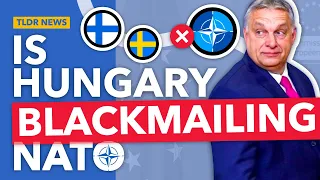 Why Is Hungary Blocking Finland and Sweden’s NATO Accession?