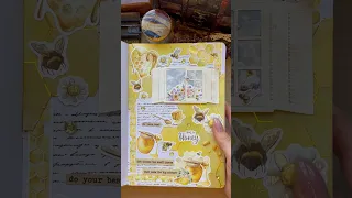 ASMR honey journal 🍯🐝💛| #journal #asmr #aesthetic #journalwithme #scrapbooking #diy #fyp #honey