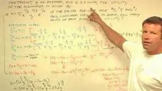 Incredible Calculus Problem -- Maximize Utility