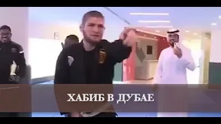 Хабиб с Дубайскими Шейхами