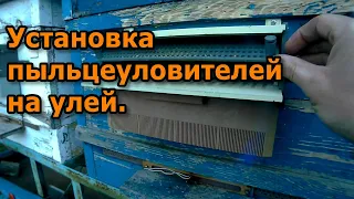 Установка пыльцеуловителей на улей.