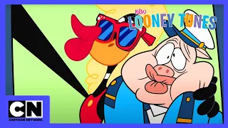 Nowe Zwariowane Melodie | Pasażer na gapę | Cartoon Network