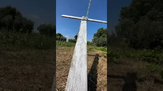 Get the cross (watermelon pizza edition)