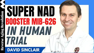 DAVID SINCLAIR “Super NAD Booster MIB-626 In Human Trials” | Dr David Sinclair Interview Clips